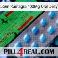 5Gm Kamagra 100Mg Oral Jelly new03